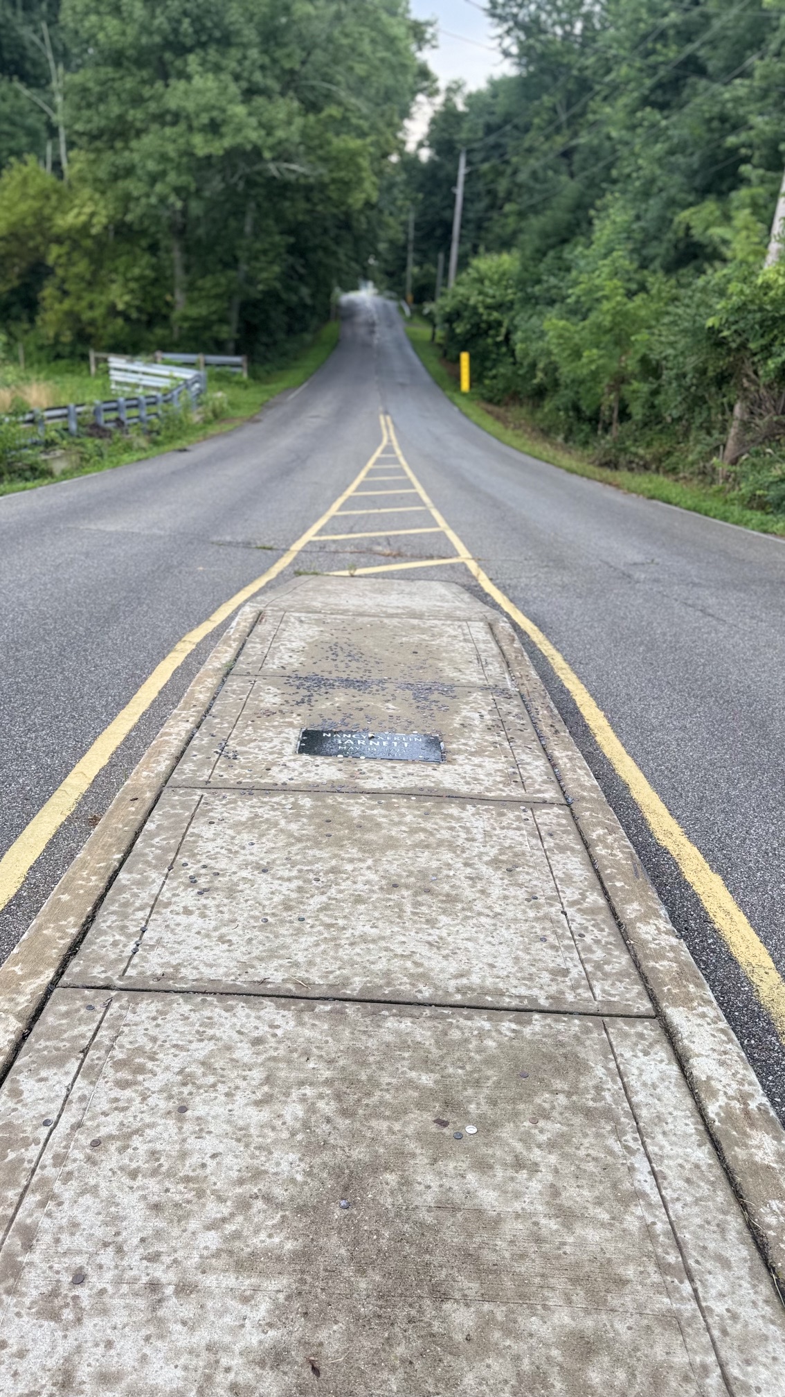 Grave in the Middle of the Road in Indiana