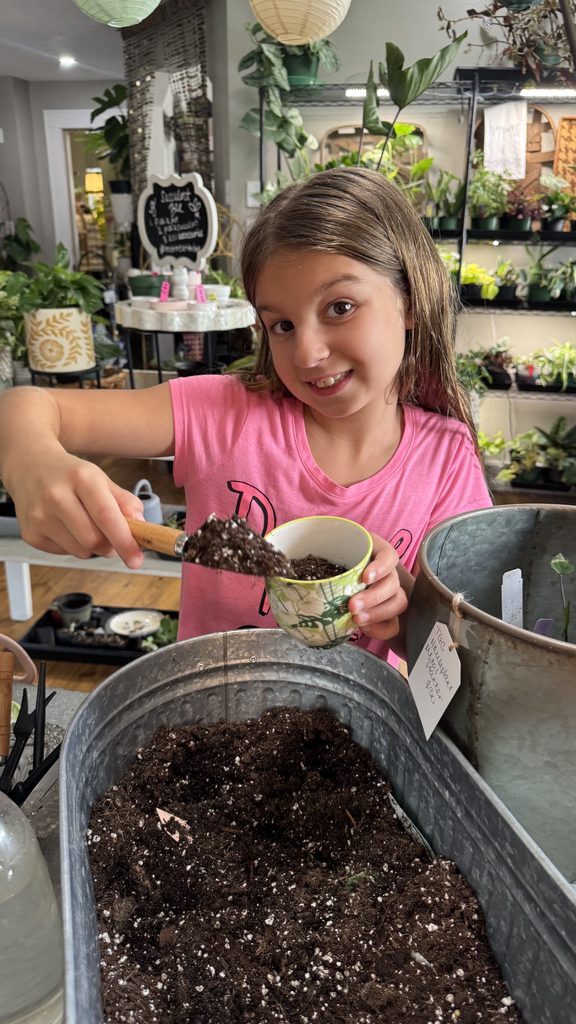 The Grove Collective is a must for plant lovers